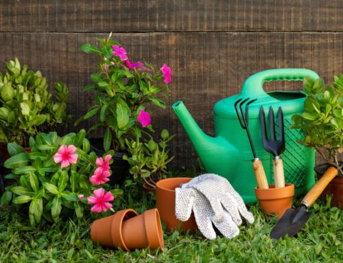 Lust auf einen schönen Garten in Schlier?